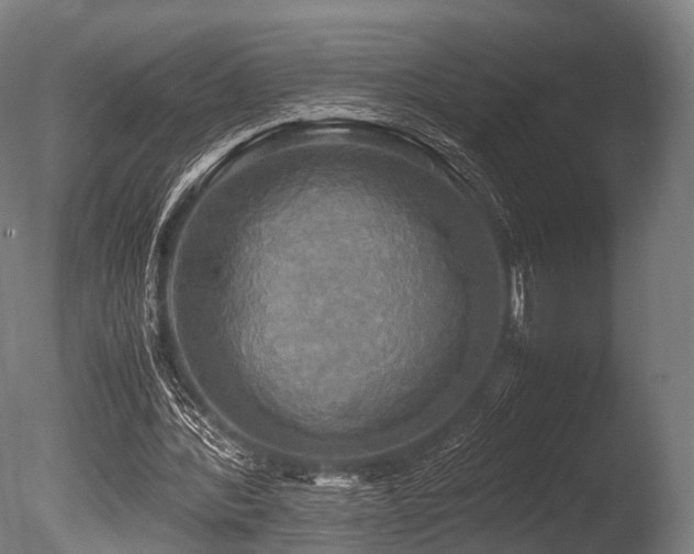 X0000086010388200703231217
