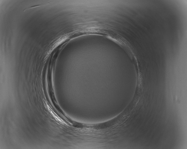 X0000086010389200703231217