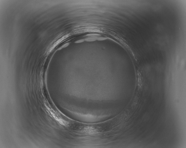 X0000086010390200703231217