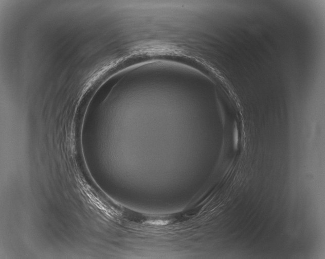 X0000086010391200703231217