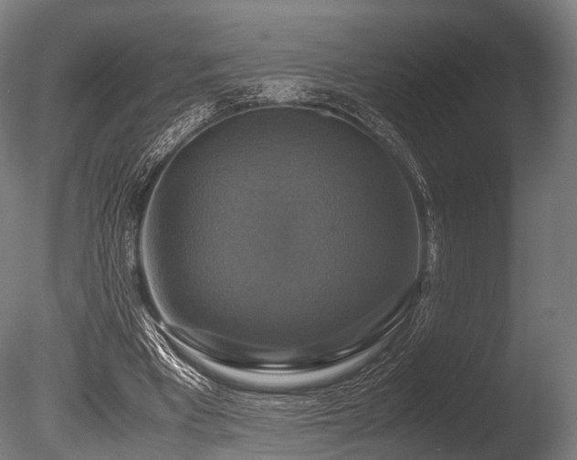X0000086010393200703231217