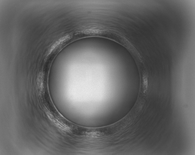 X0000086010396200703231217