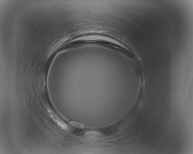 X0000086010397200703231217