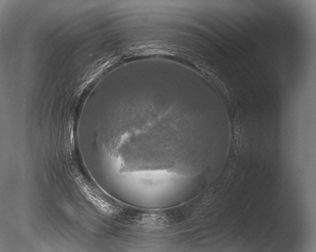X0000086010398200703231217