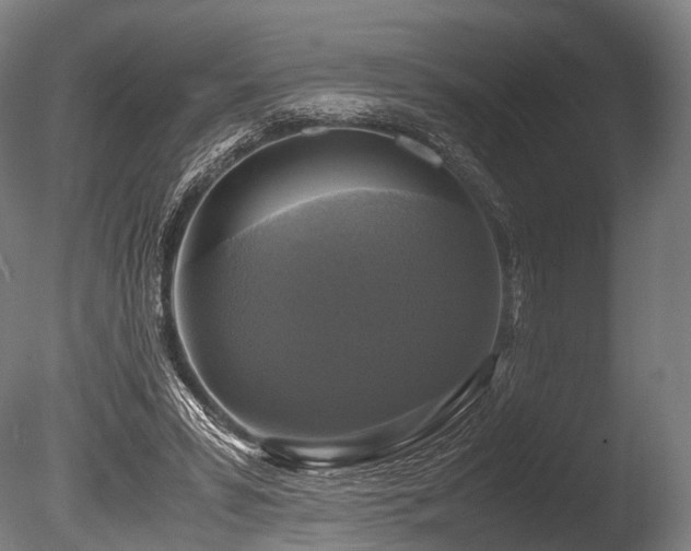 X0000086010399200703231217
