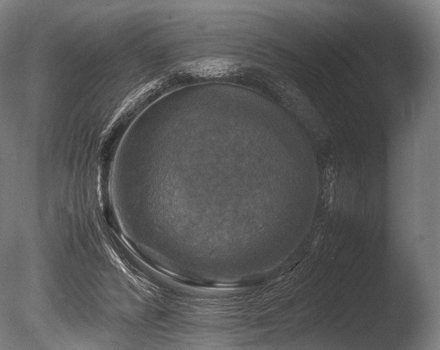 X0000086010400200703231217