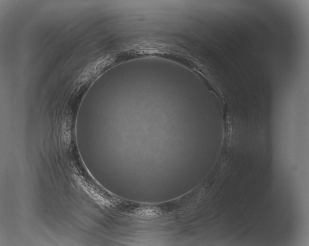 X0000086010402200703231217