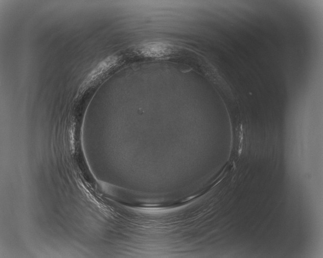 X0000086010404200703231217