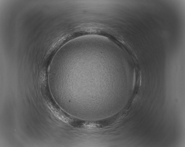 X0000086010407200703231217