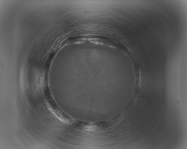 X0000086010408200703231217