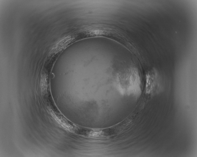 X0000086010410200703231217