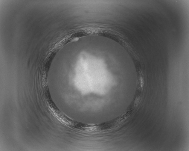 X0000086010411200703231217
