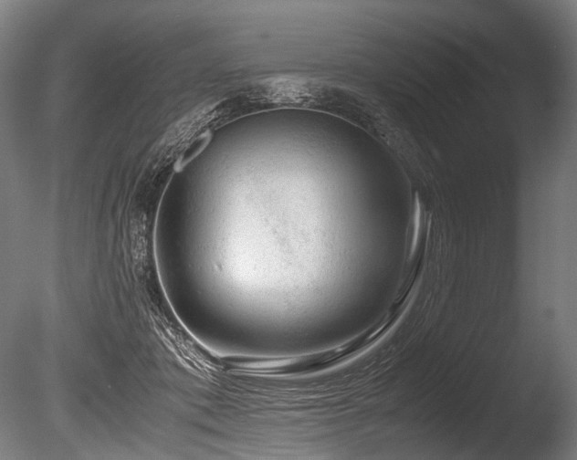 X0000086010413200703231217
