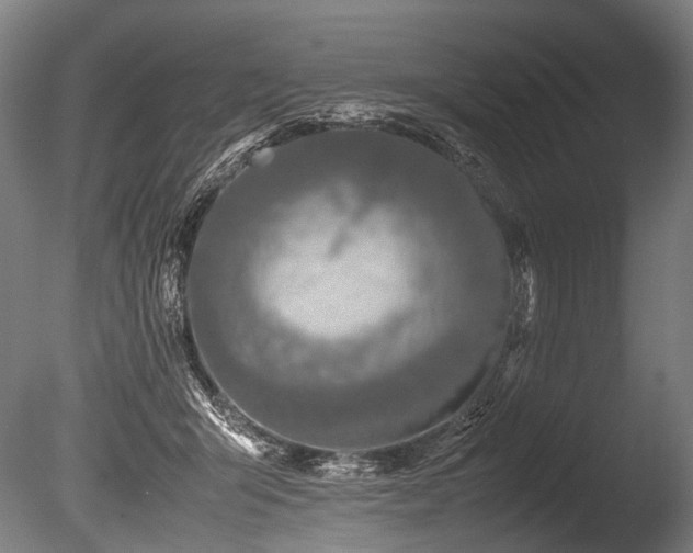 X0000086010415200703231217