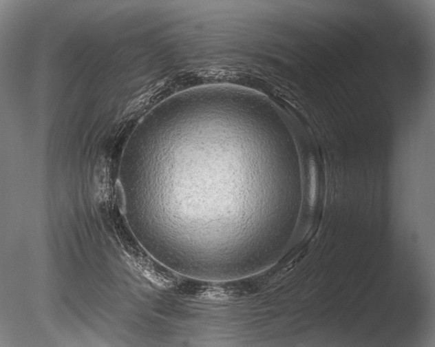 X0000086010416200703231217