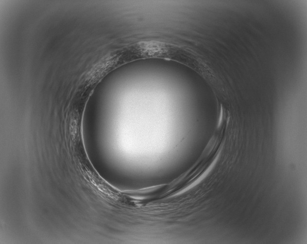 X0000086010417200703231217