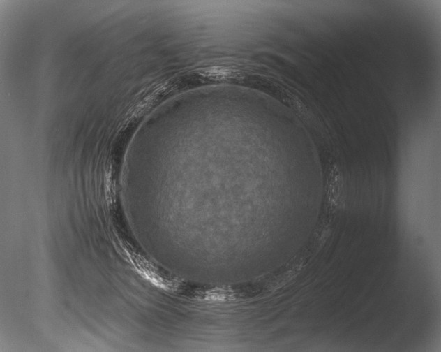 X0000086010420200703231217