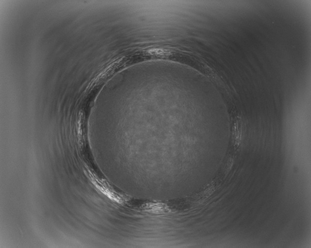 X0000086010424200703231217