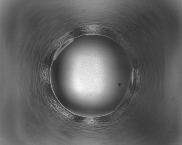 X0000086010425200703231217