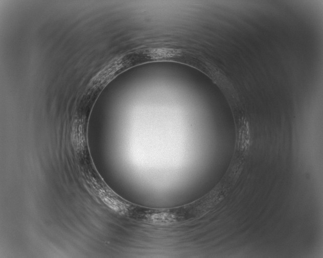 X0000086010426200703231217