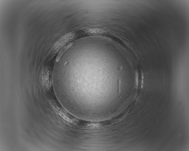 X0000086010428200703231217