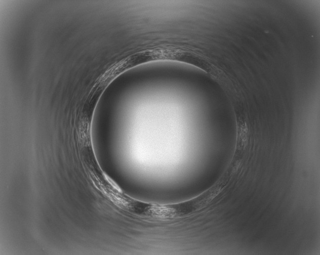 X0000086010429200703231217