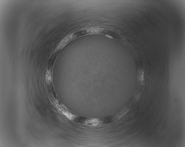 X0000086010431200703231217
