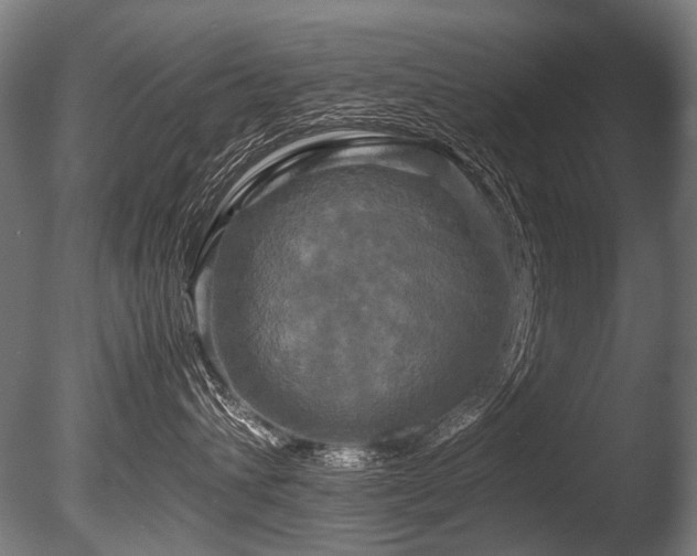 X0000086010432200703231217