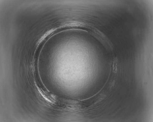 X0000086010436200703231216
