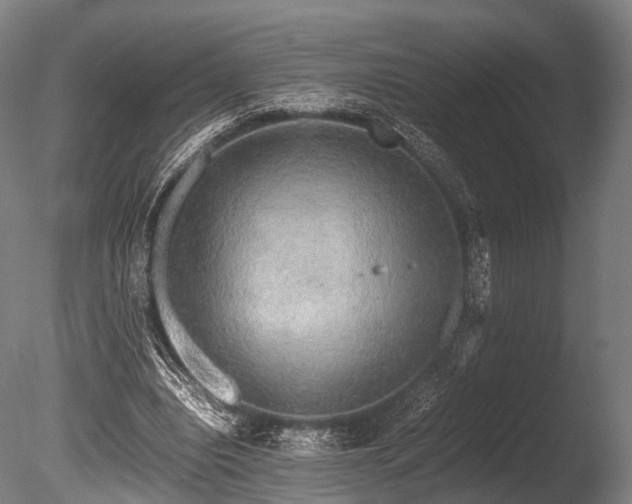 X0000086010440200703231216