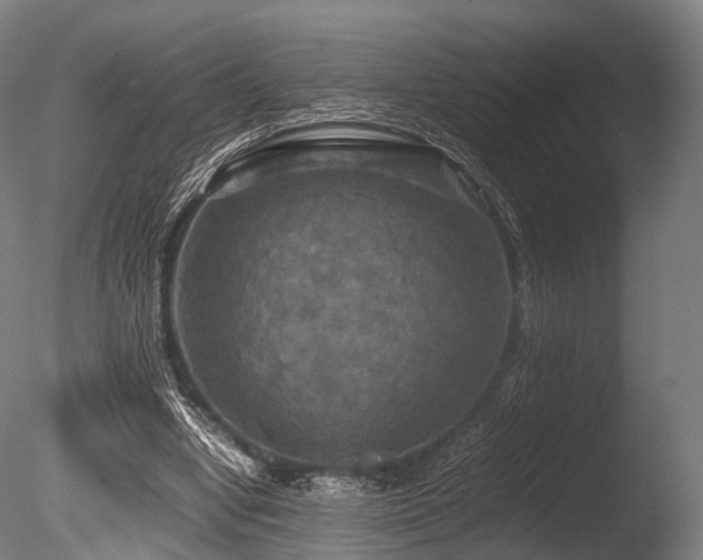 X0000086010442200703231216