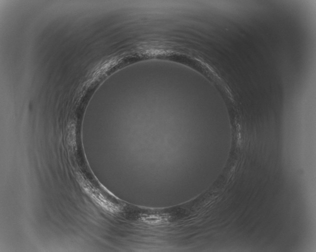 X0000086010447200703231216