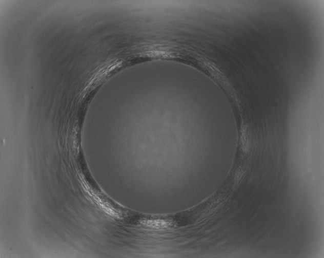 X0000086010449200703231216