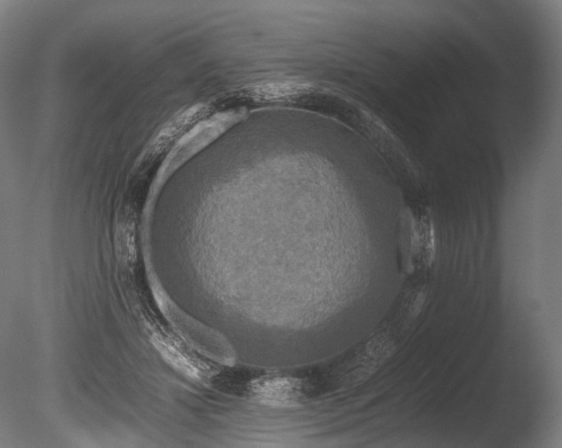 X0000086010452200703231216
