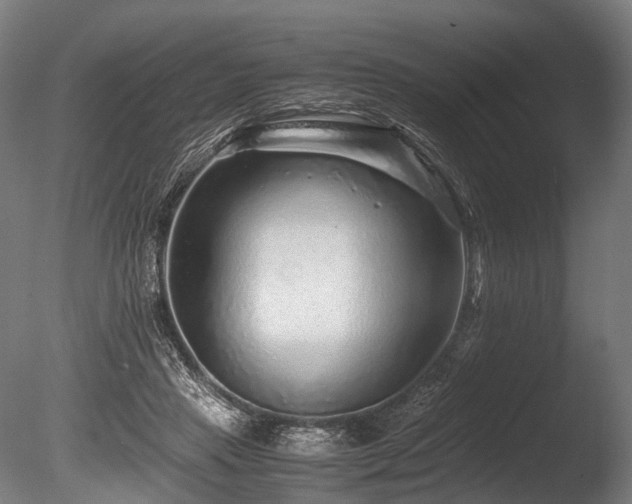 X0000086010453200703231216