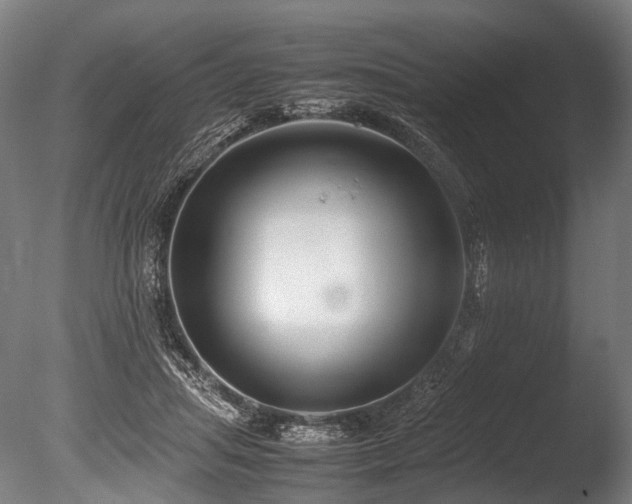 X0000086010455200703231216