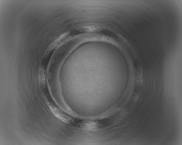 X0000086010456200703231216