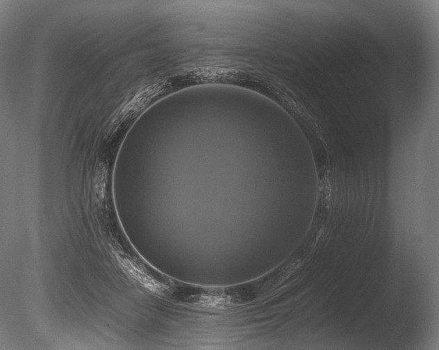 X0000086010458200703231216