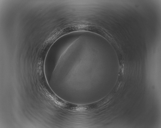 X0000086010462200703231216