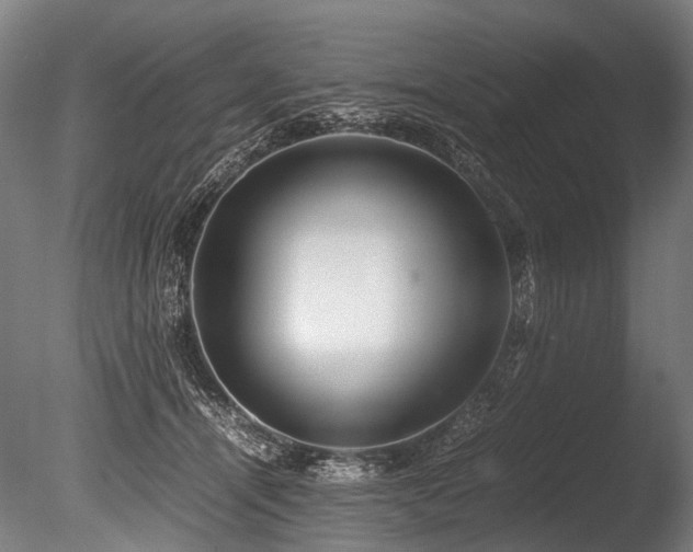 X0000086010464200703231216