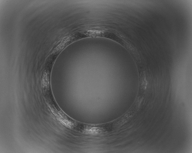 X0000086010467200703231216