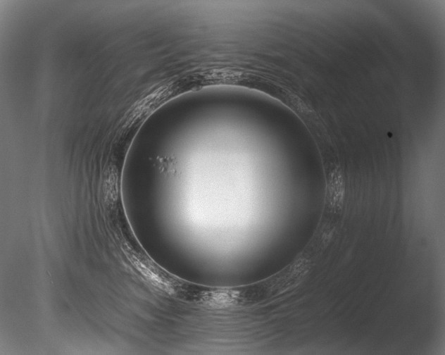 X0000086010474200703231216