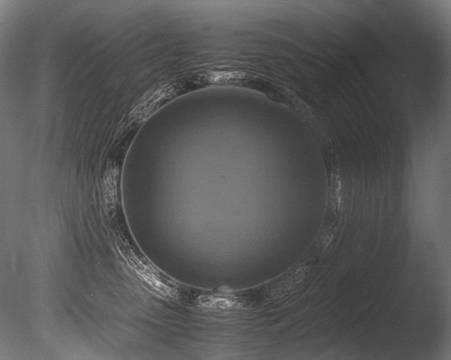 X0000086010475200703231216