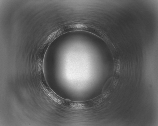X0000086010476200703231217