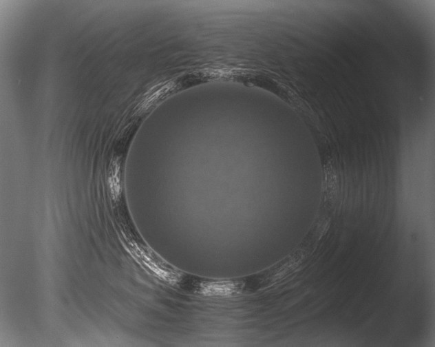 X0000086010479200703231217