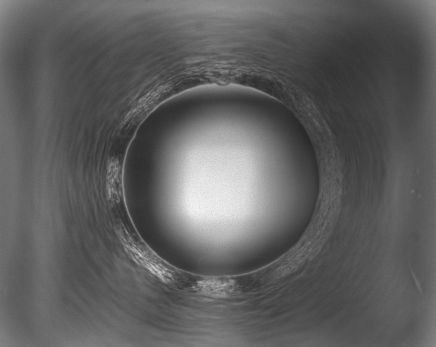 X0000086010480200703231217