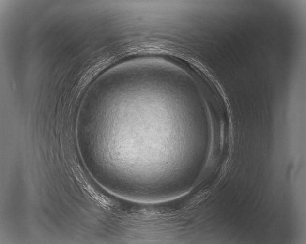 X0000086010481200703231216