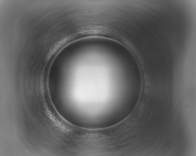 X0000086010482200703231216