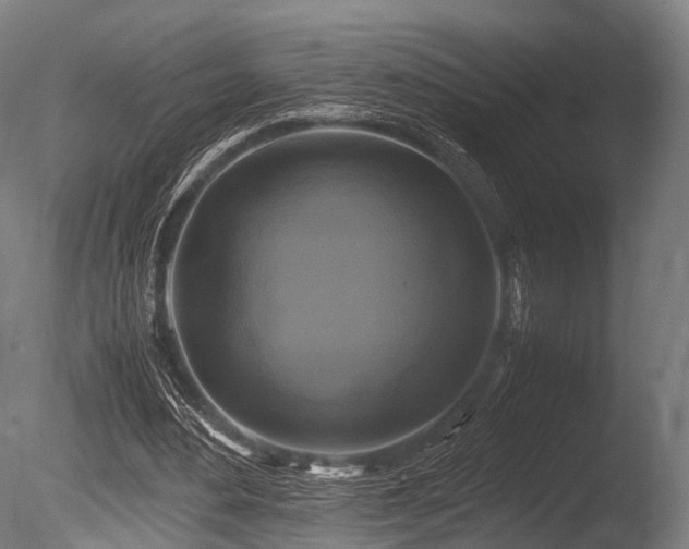 X0000086010484200703231216
