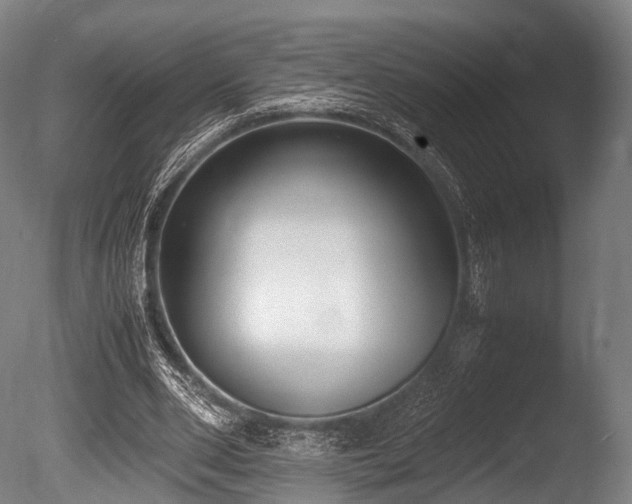 X0000086010486200703231216